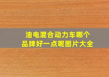 油电混合动力车哪个品牌好一点呢图片大全