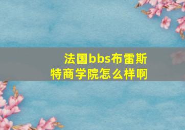 法国bbs布雷斯特商学院怎么样啊