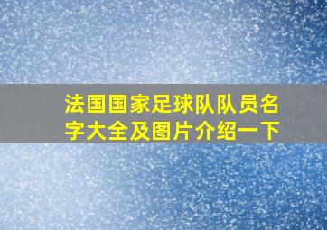 法国国家足球队队员名字大全及图片介绍一下