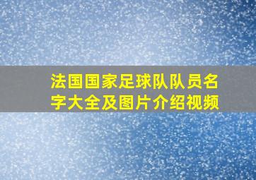 法国国家足球队队员名字大全及图片介绍视频