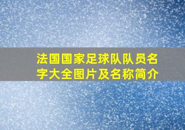 法国国家足球队队员名字大全图片及名称简介