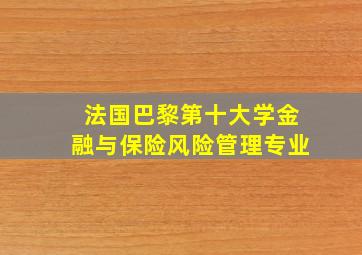 法国巴黎第十大学金融与保险风险管理专业