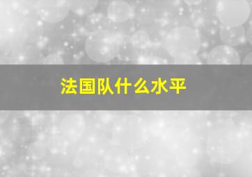 法国队什么水平