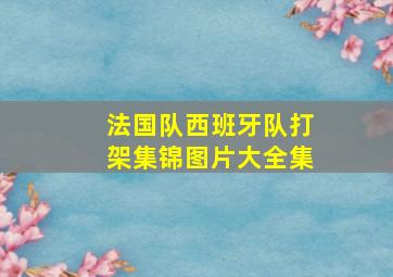 法国队西班牙队打架集锦图片大全集