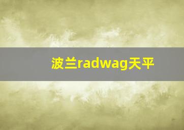 波兰radwag天平