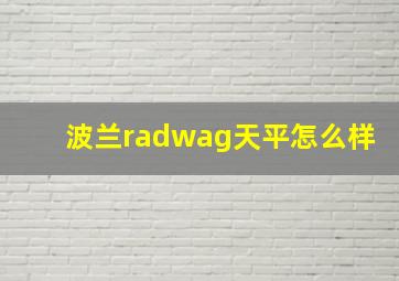 波兰radwag天平怎么样