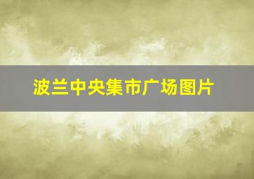 波兰中央集市广场图片