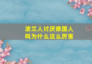 波兰人讨厌德国人吗为什么这么厉害