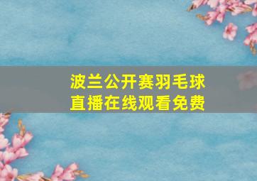 波兰公开赛羽毛球直播在线观看免费