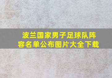 波兰国家男子足球队阵容名单公布图片大全下载