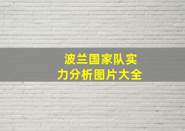 波兰国家队实力分析图片大全