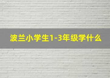 波兰小学生1-3年级学什么