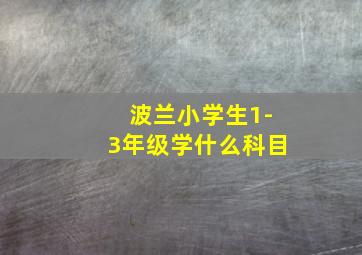 波兰小学生1-3年级学什么科目