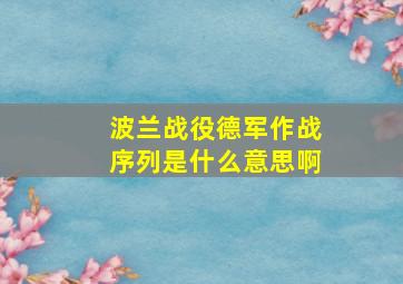 波兰战役德军作战序列是什么意思啊