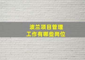 波兰项目管理工作有哪些岗位