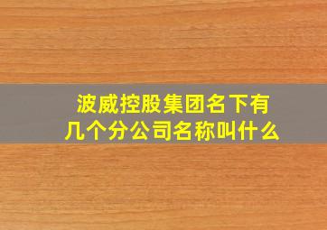 波威控股集团名下有几个分公司名称叫什么