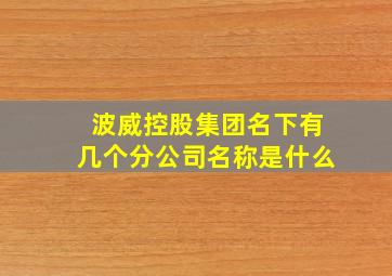 波威控股集团名下有几个分公司名称是什么