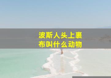 波斯人头上裹布叫什么动物