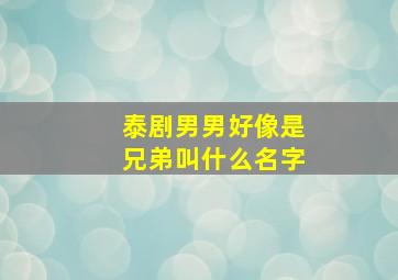 泰剧男男好像是兄弟叫什么名字