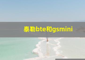 泰勒bte和gsmini