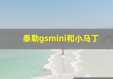 泰勒gsmini和小马丁