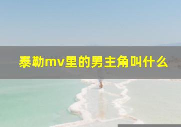 泰勒mv里的男主角叫什么