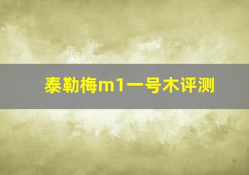 泰勒梅m1一号木评测