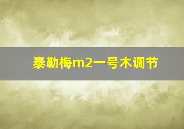 泰勒梅m2一号木调节