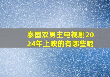 泰国双男主电视剧2024年上映的有哪些呢