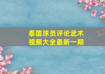 泰国球员评论武术视频大全最新一期