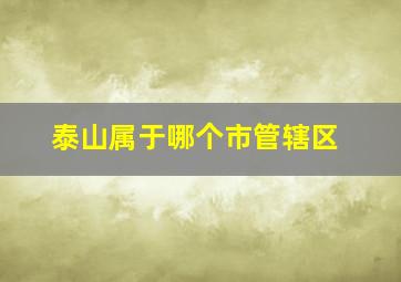 泰山属于哪个市管辖区