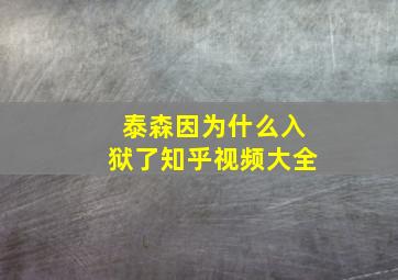 泰森因为什么入狱了知乎视频大全