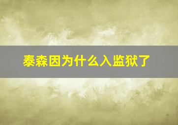 泰森因为什么入监狱了