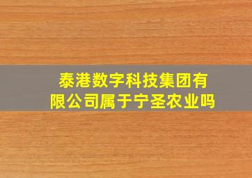 泰港数字科技集团有限公司属于宁圣农业吗