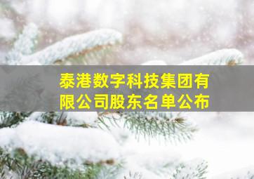 泰港数字科技集团有限公司股东名单公布