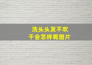 洗头头发不吹干会怎样呢图片