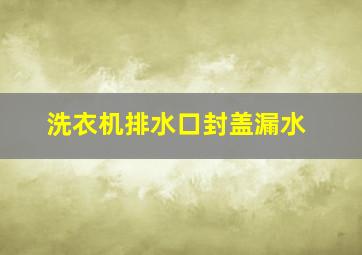 洗衣机排水口封盖漏水