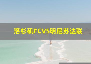 洛杉矶FCVS明尼苏达联