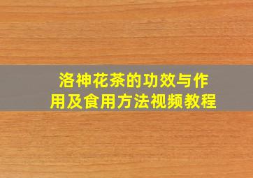 洛神花茶的功效与作用及食用方法视频教程