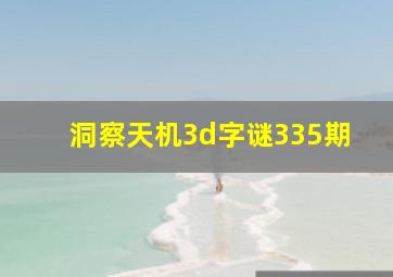 洞察天机3d字谜335期