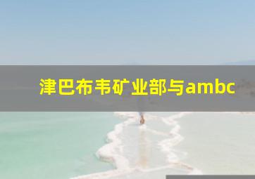 津巴布韦矿业部与ambc