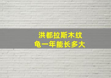 洪都拉斯木纹龟一年能长多大