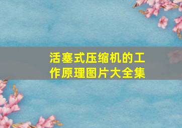 活塞式压缩机的工作原理图片大全集