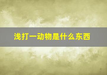 浅打一动物是什么东西