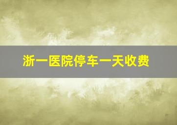 浙一医院停车一天收费