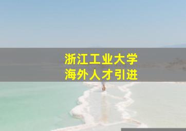 浙江工业大学海外人才引进