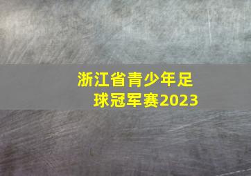 浙江省青少年足球冠军赛2023