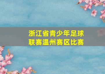 浙江省青少年足球联赛温州赛区比赛