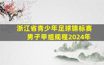 浙江省青少年足球锦标赛男子甲组规程2024年