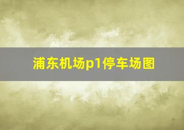 浦东机场p1停车场图